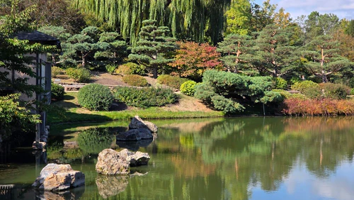 Chicago Botanic Garden in Chicago — Vrt