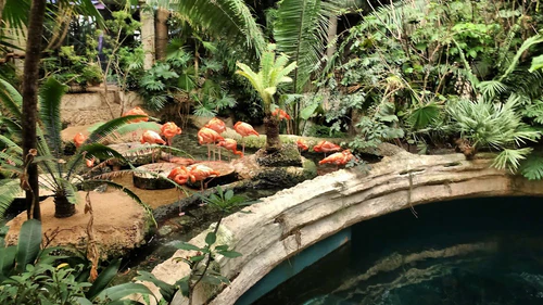The Dallas World Aquarium — Aquarium, rated 4.4/5