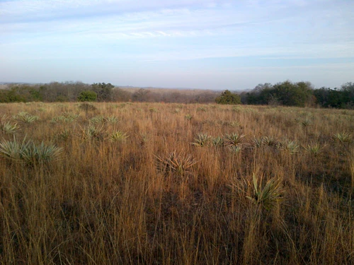 Fort Worth Nature Center & Refuge — ბუნებრივი საოცრება, rated 4.7/5