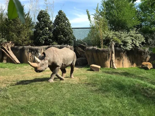 Fort Worth ზოოპარკი — Zoo, rated 4.6/5