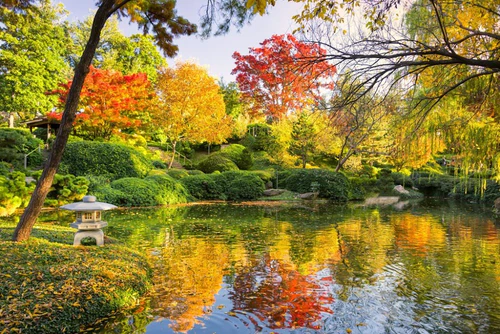 Japanese Garden — ბაღი, rated 4.8/5