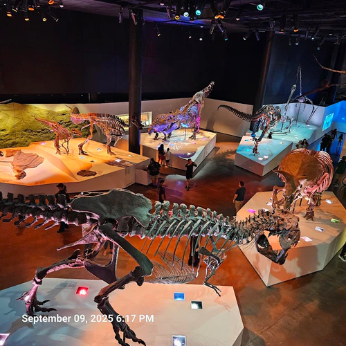 Houston Museum of Natural Science in ჰიუსტონი — მუზეუმი