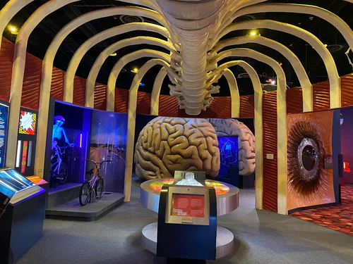 The Health Museum — მუზეუმი, rated 4.3/5