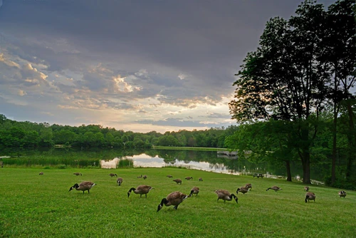 Fort Harrison State Park — Park, rated 4.7/5
