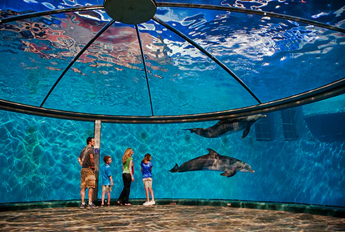Indianapolis Zoo — Zoo, rated 4.5/5