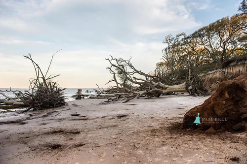 Big Talbot Island State Park — Park, rated 4.8/5