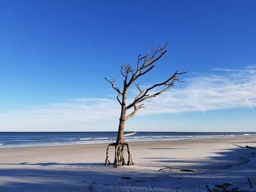Little Talbot Island State Park — Park, rated 4.7/5
