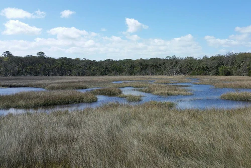 Timucuan Ecological and Historical Preserve — Natural wonder, rated 4.6/5