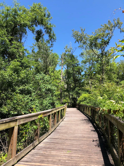 Tree Hill Nature Center — Natural wonder, rated 4.6/5