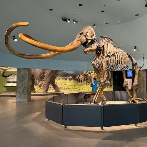 La Brea Tar Pits and Museum — Museo, rated 4.6/5