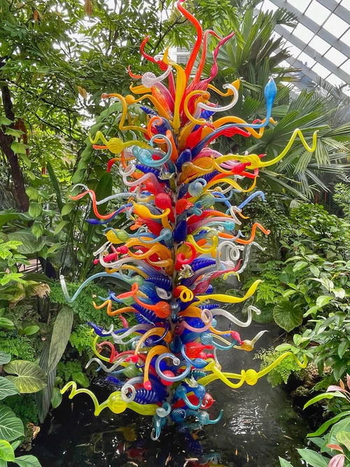 Fairchild Tropical Botanic Garden in মিয়ামি — বাগান