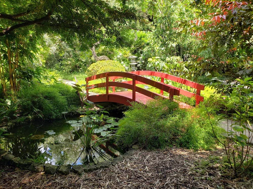 Miami Beach Botanical Garden in মিয়ামি — বাগান