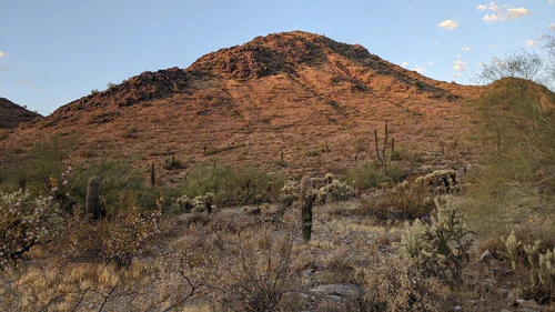 Phoenix Mountains Preserve in ფინიქსი — ბუნებრივი საოცრება