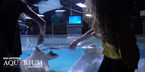 San Antonio Aquarium — Aquarium, rated 4.1/5