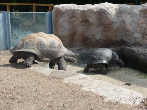 San Antonio Zoo — Zoo, rated 4.5/5