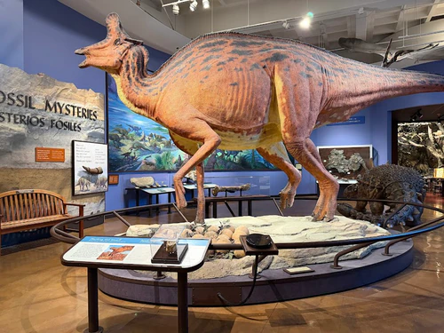 San Diego Natural History Museum — Research institute, rated 4.6/5