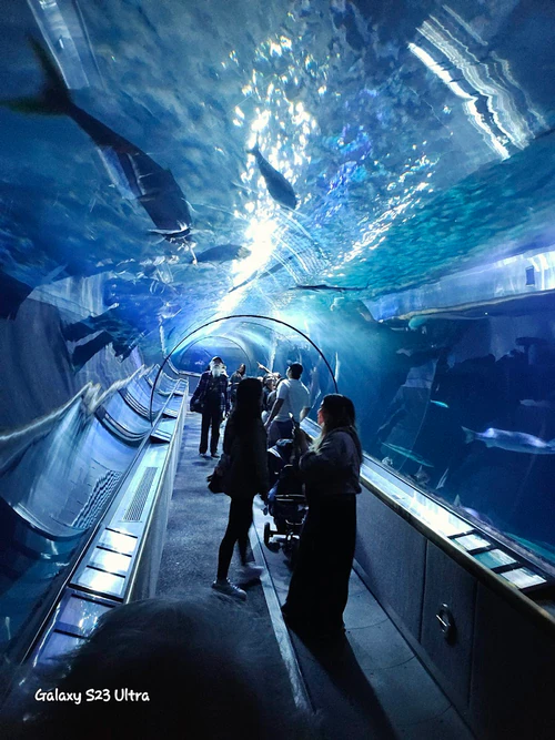 Akwarium Zatoki — Aquarium, rated 4.1/5