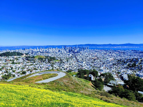 Twin Peaks — Park, rated 4.7/5