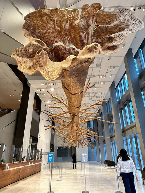 Seattle Art Museum in সিয়াটল — মিউজিয়াম