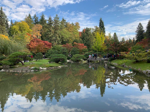 Washington Park Arboretum in সিয়াটল — বাগান