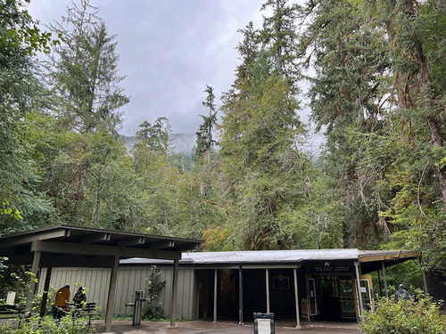Hoh Rain Forest — Pamětihodnost, rated 4.7/5
