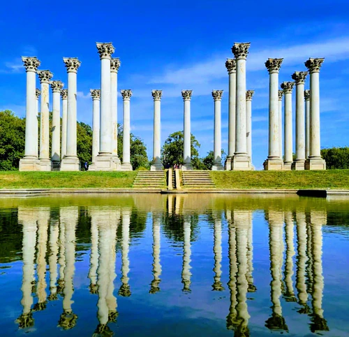 National Arboretum USA — Zahrada, rated 4.7/5