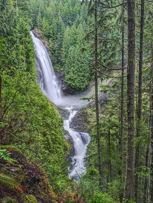 State Park Wallace Falls — Park, rated 4.8/5