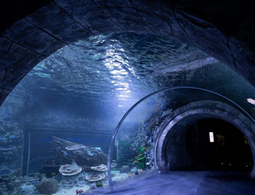 Μαγικό Αquarium — Aquarium, rated 4.6/5