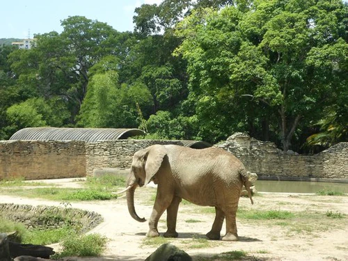Caricuao Zoo in Caracas — Zoo