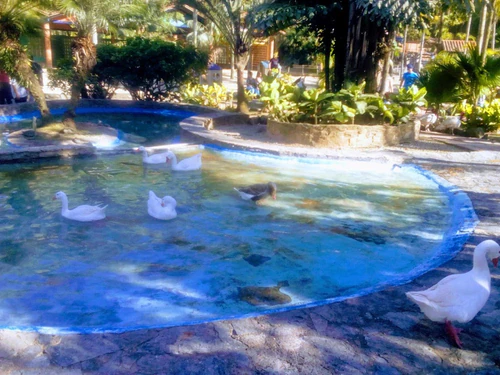 Expanzoo in Caracas — Zoo