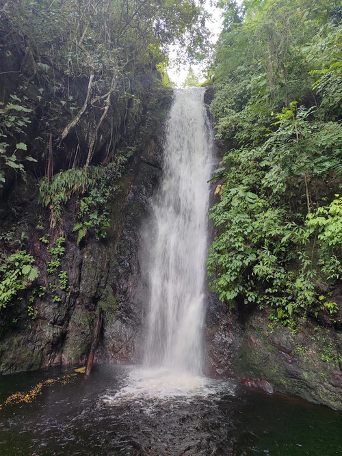 Los Chorros Park in Caracas — পার্ক