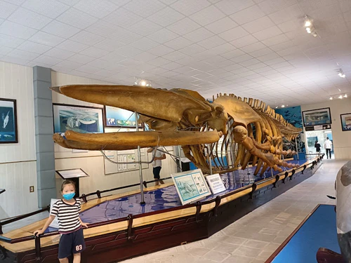 Museum of Oceanography in Nha Trang — Museum
