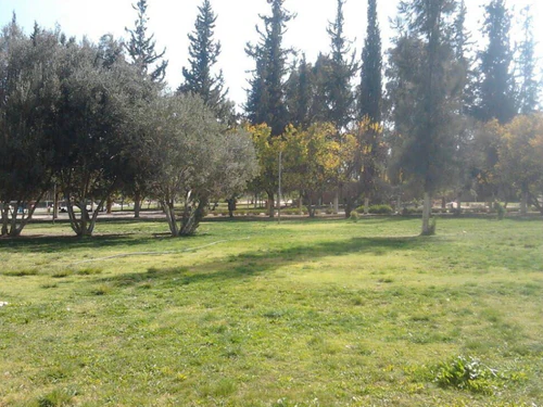 Althawra Park in Sana'a — Park