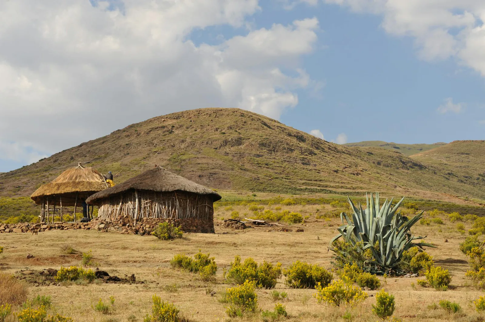 Africa