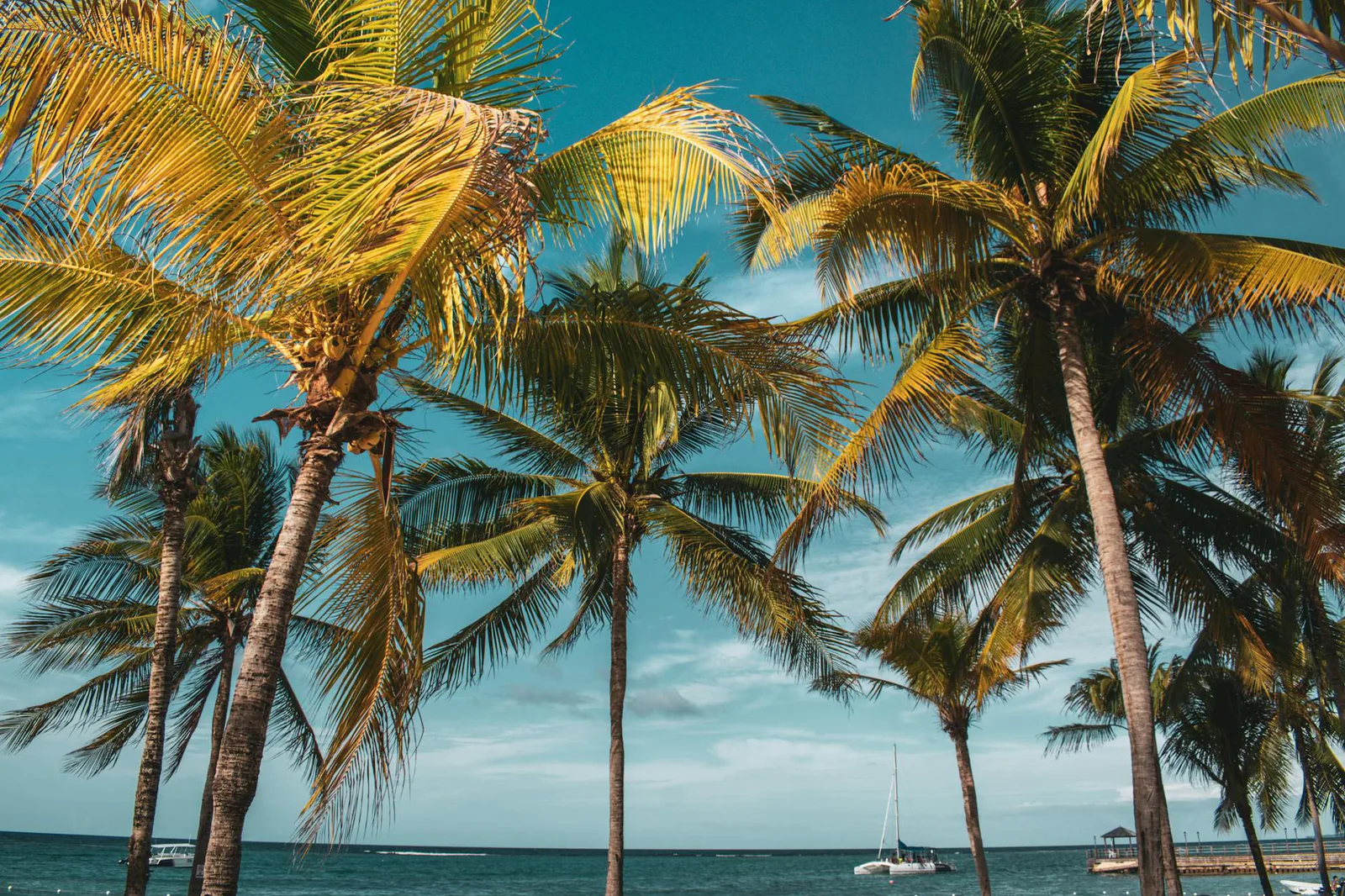 Jamaica