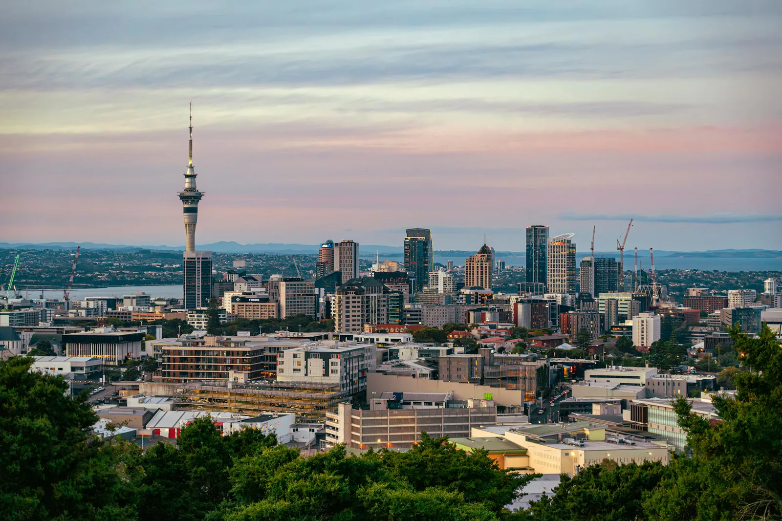 Auckland travel guide