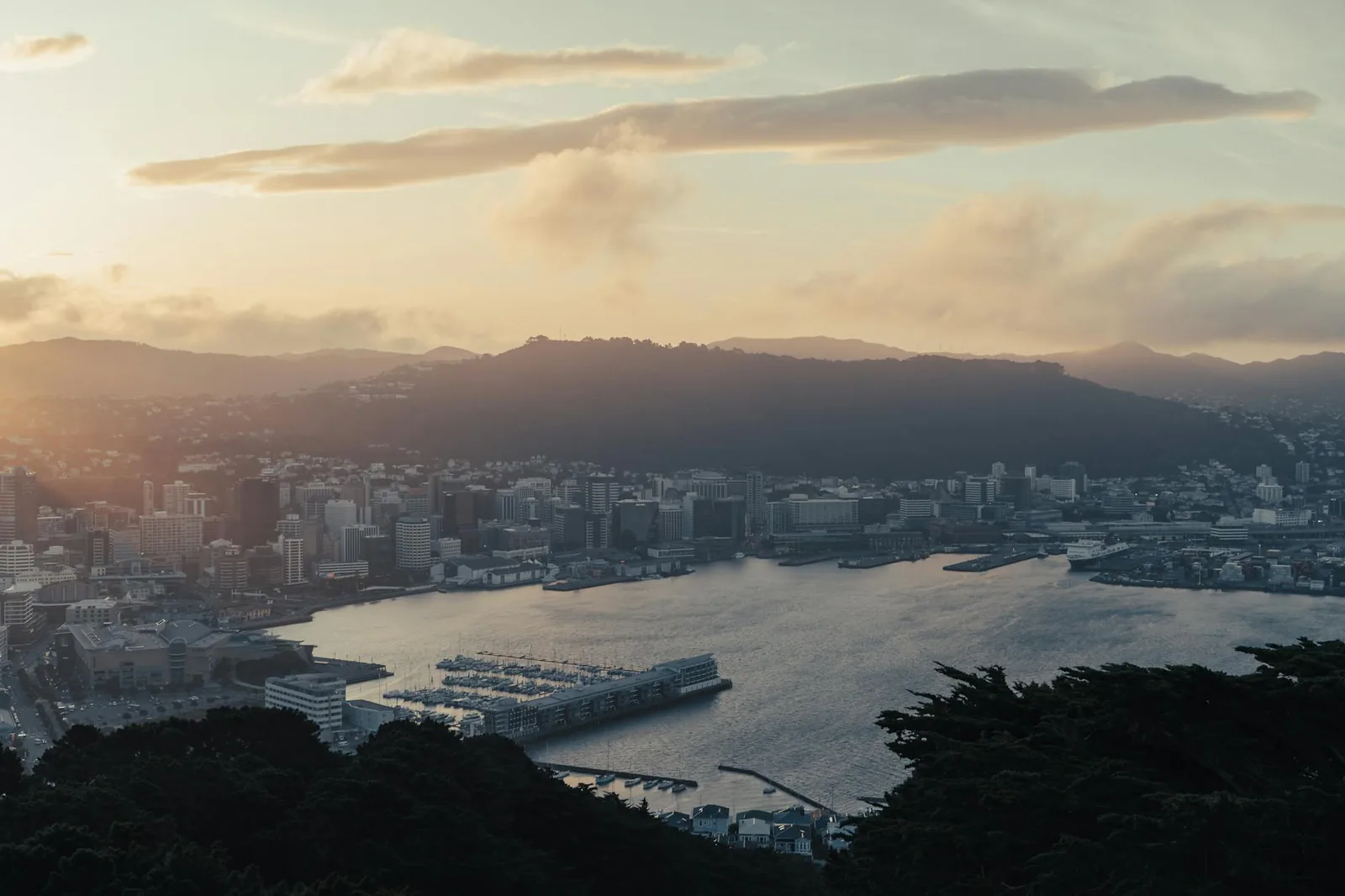 Wellington travel guide