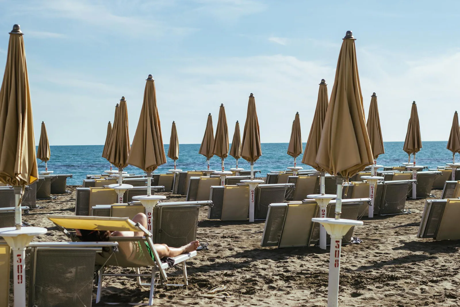 Rimini travel guide