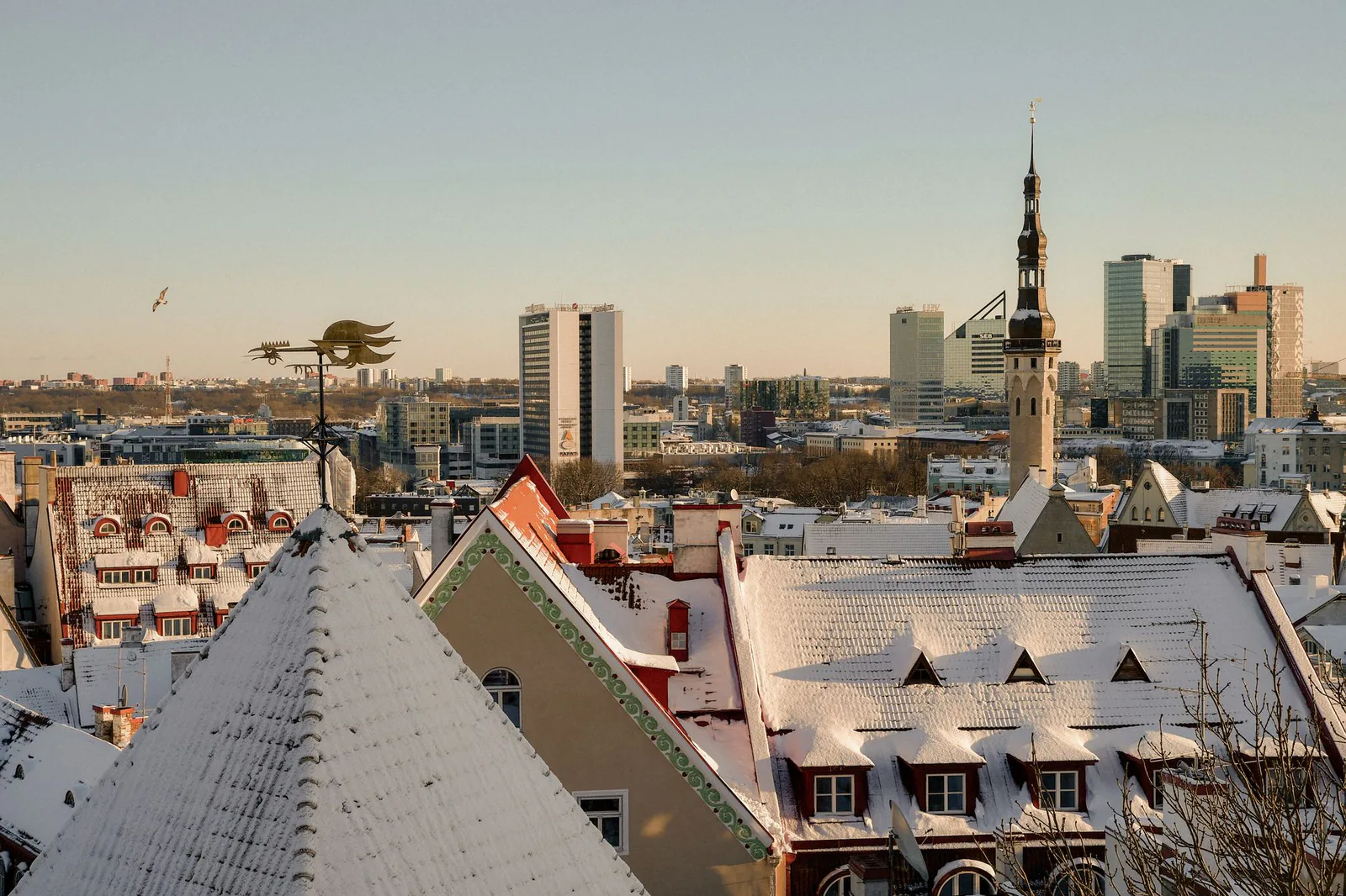Tallinn travel guide