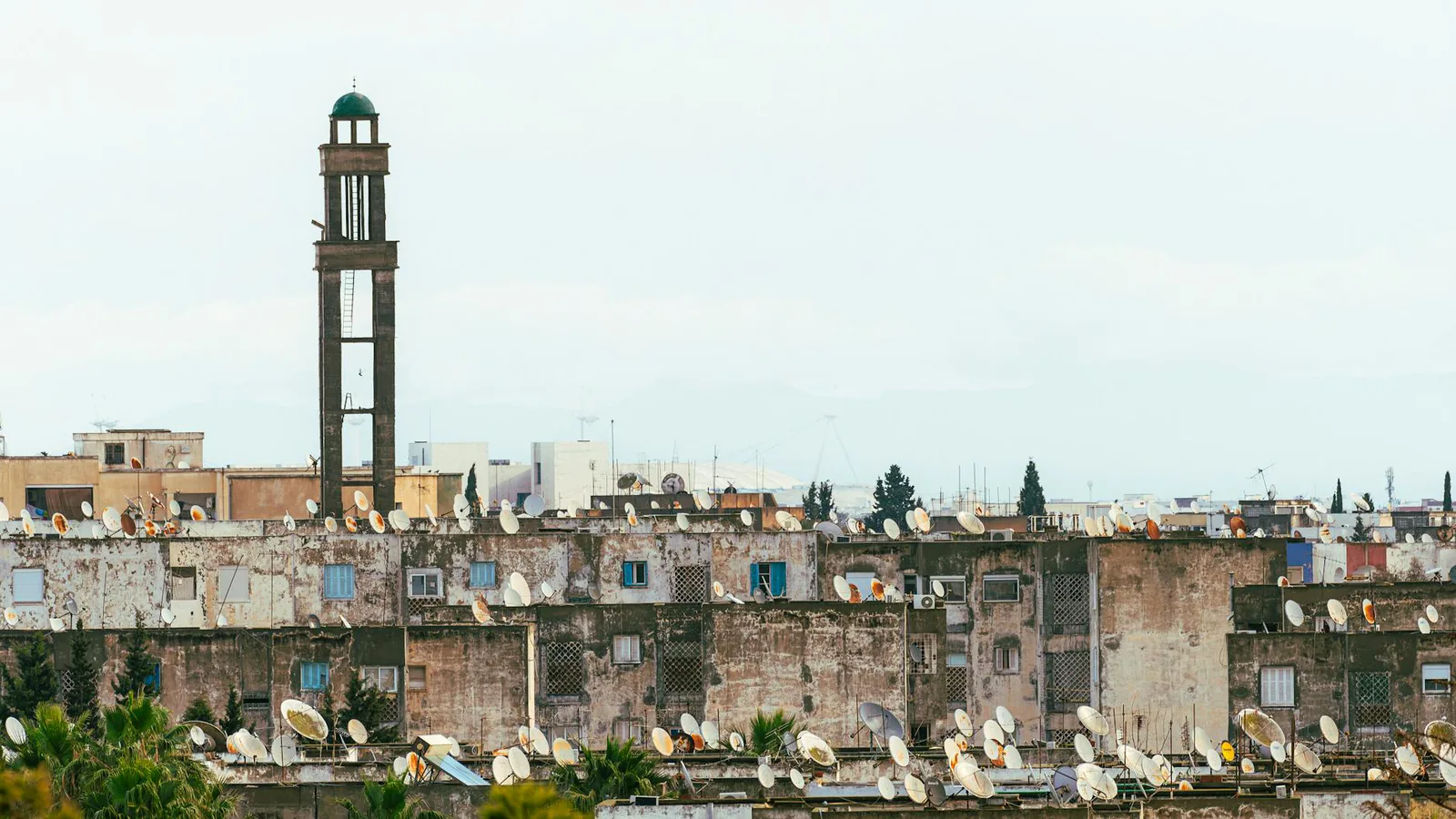 Tunis travel guide