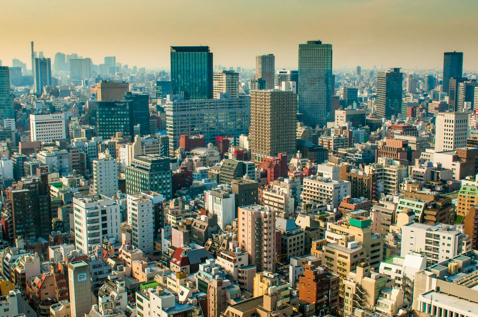 Tokyo travel guide