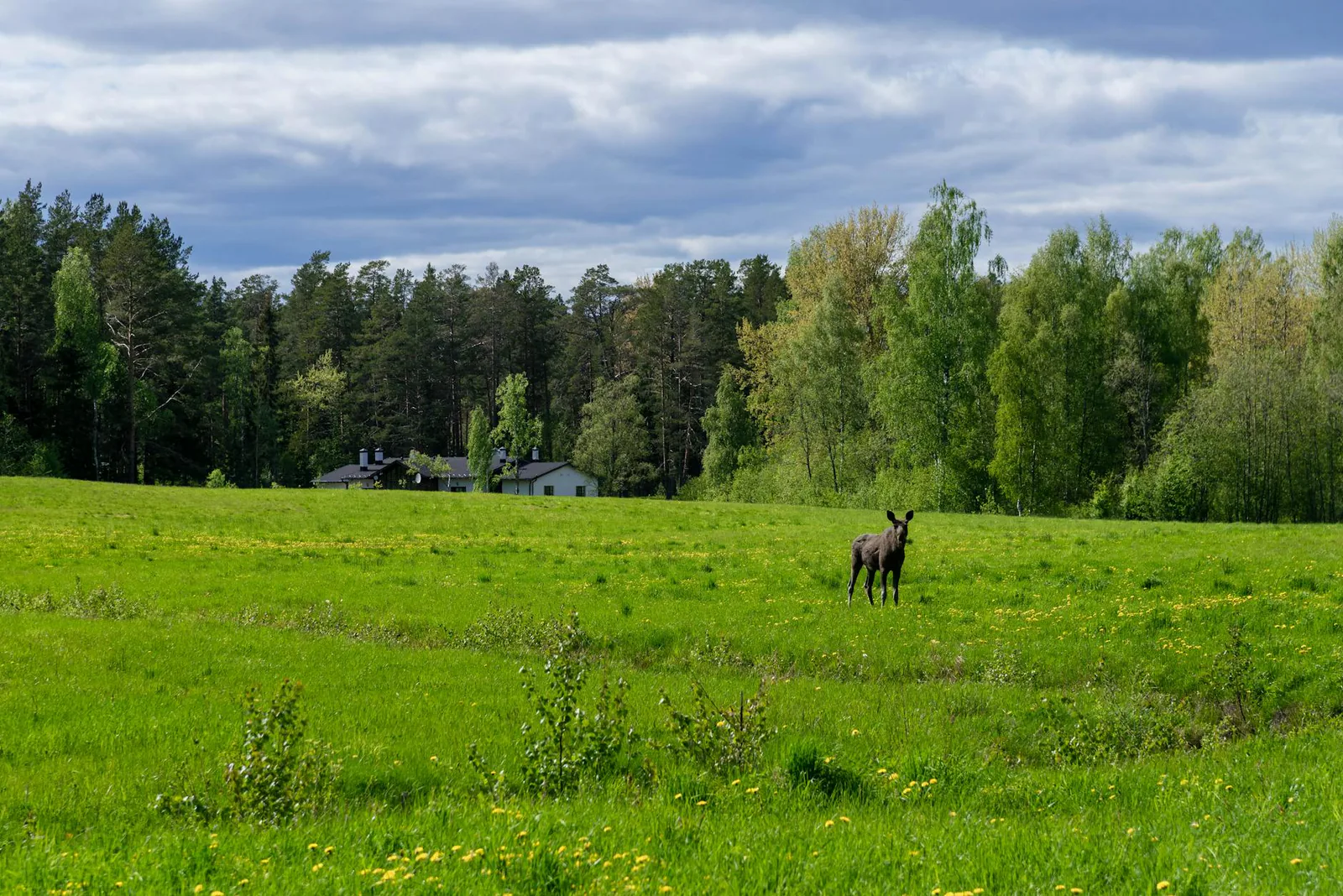 Etelä-Karjala travel guide
