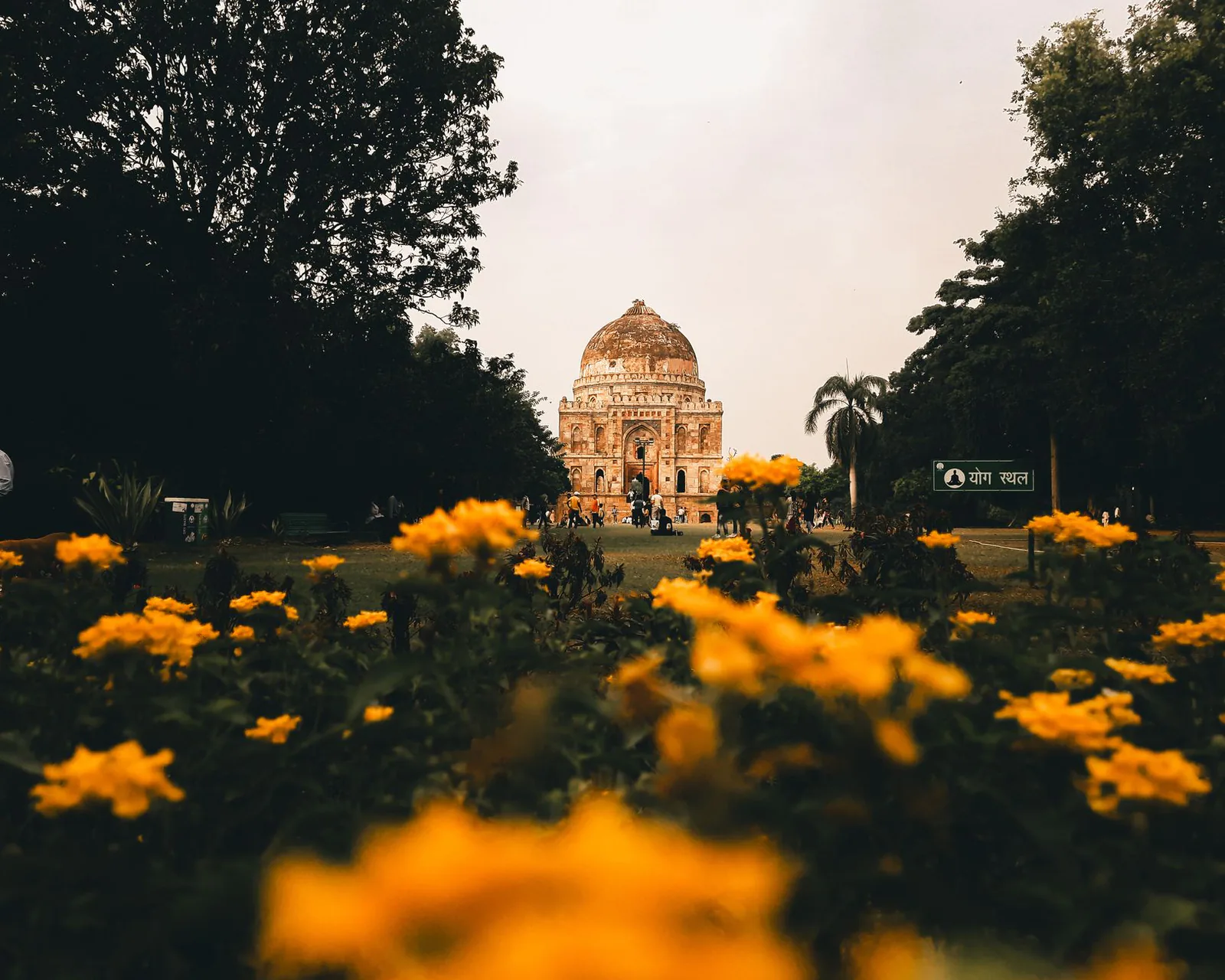 Delhi travel guide