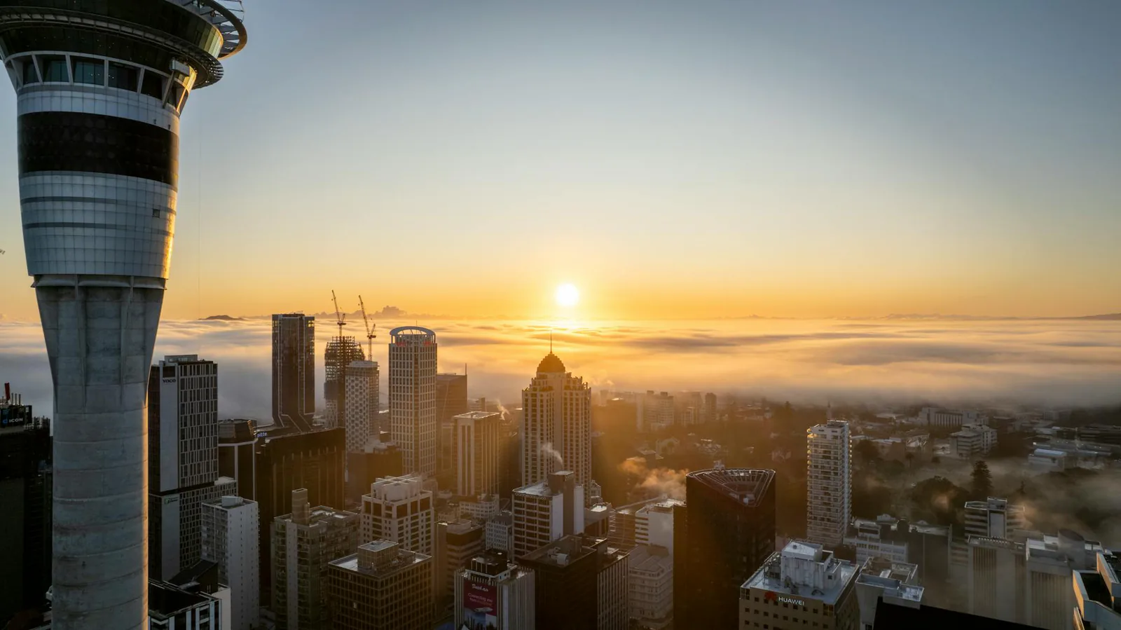 Auckland travel guide