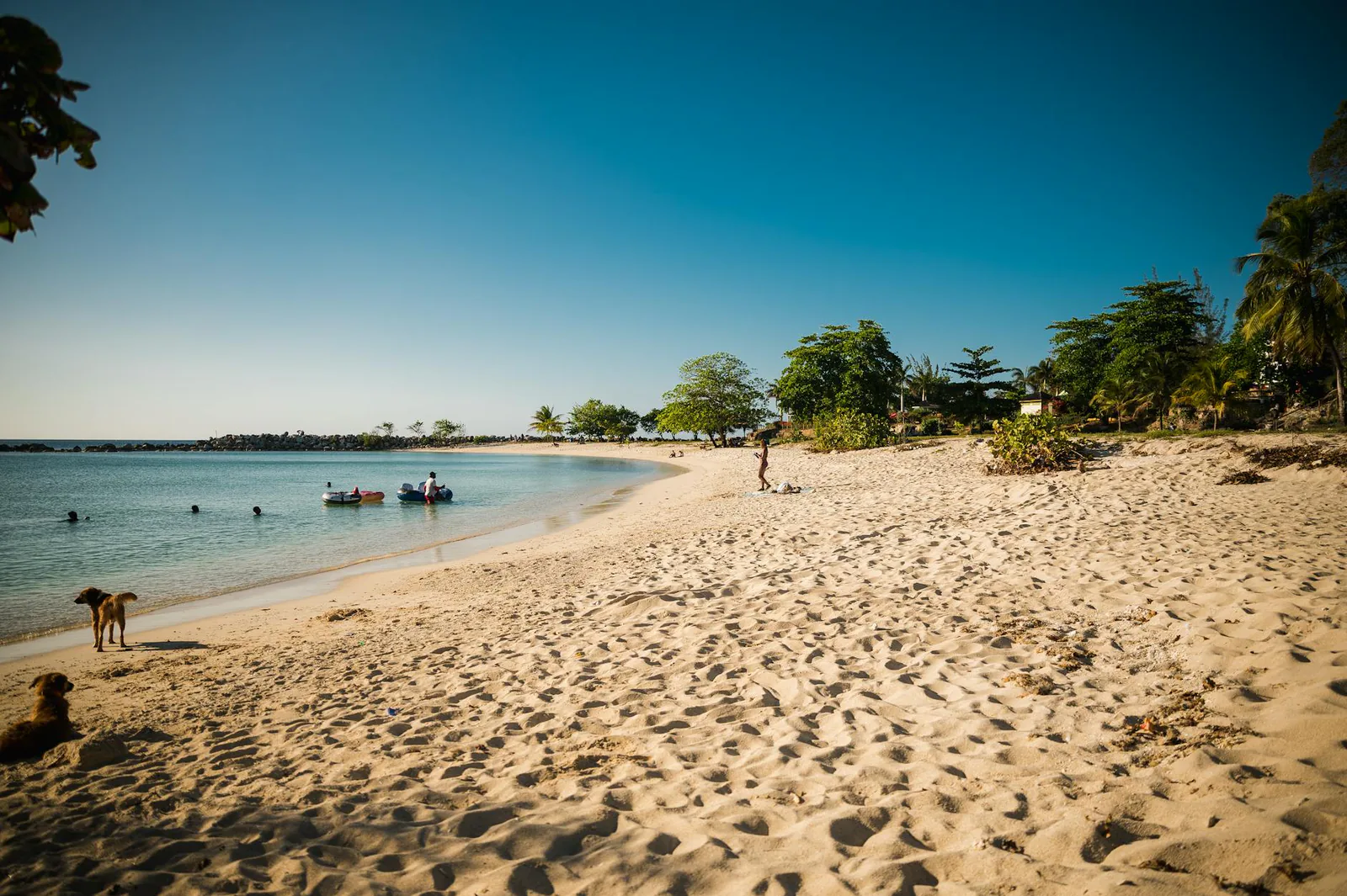 Kingston travel guide