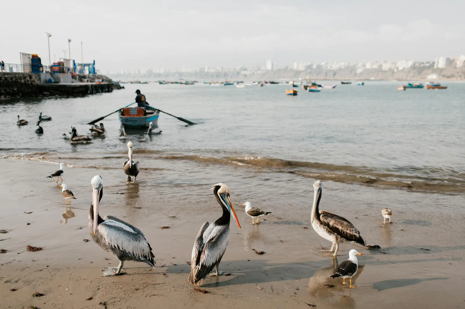 Lima travel guide