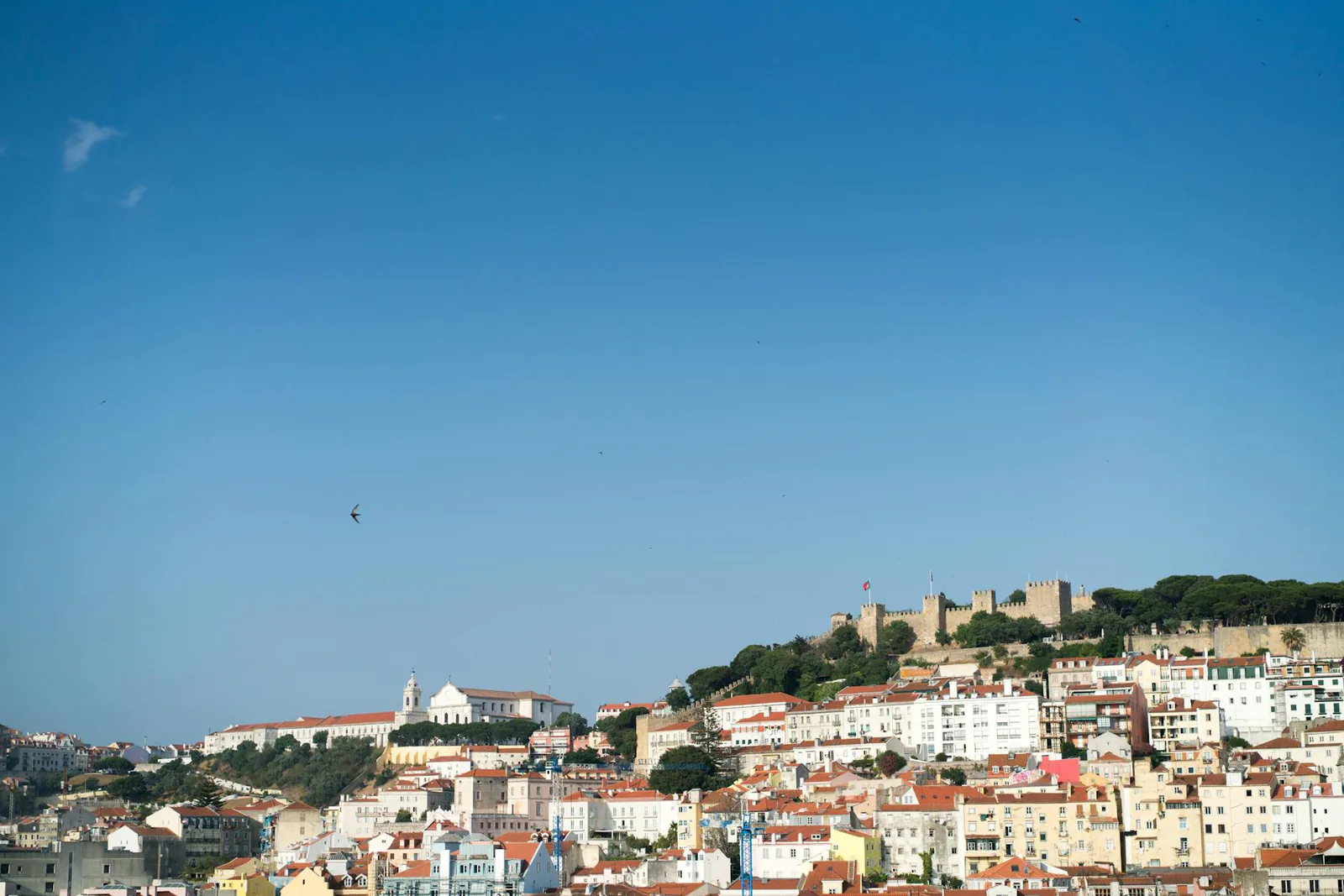 Lisboa travel guide