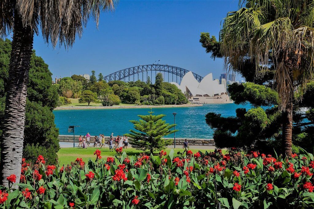 Real Jardín Botánico de Sydney