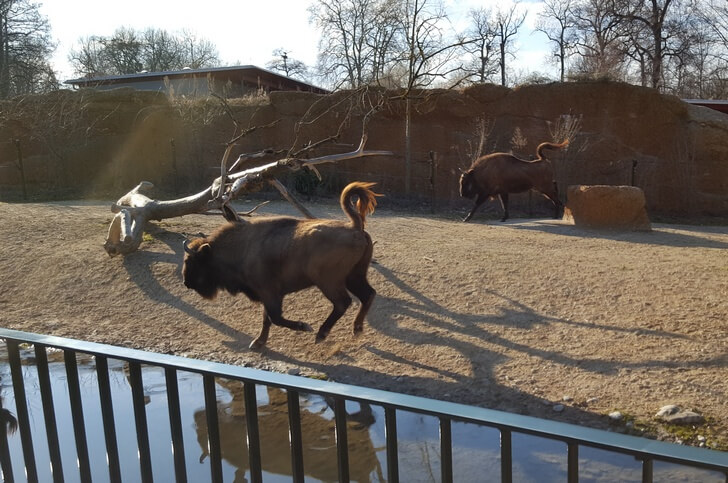 Zoologická záhrada Lange Erlen