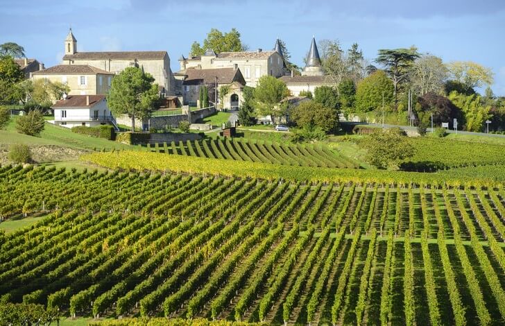 Wine tours and excursions in Bordeaux
